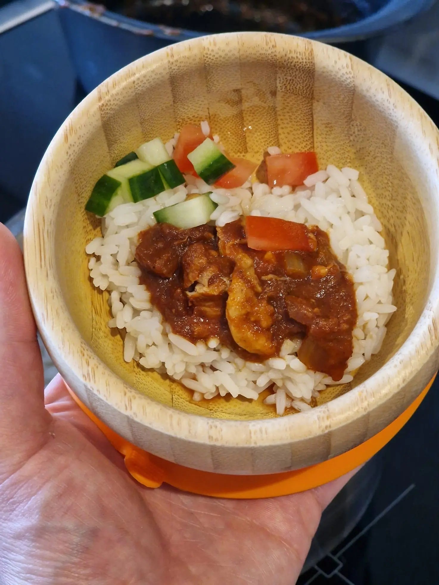 Mild Chicken Toddler Curry